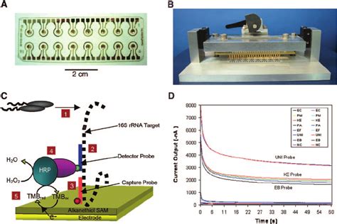 Electrolytic Sensor Method trading|electrochemical sensor performance improvement.